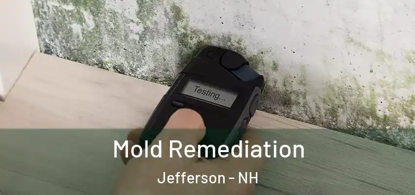  Mold Remediation Jefferson - NH