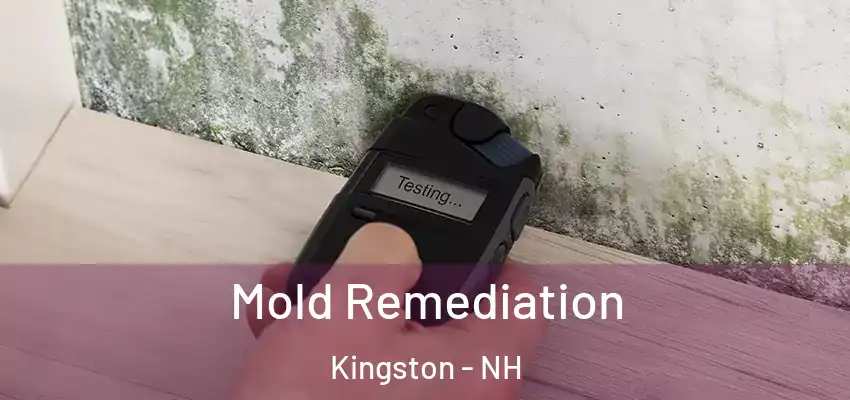  Mold Remediation Kingston - NH