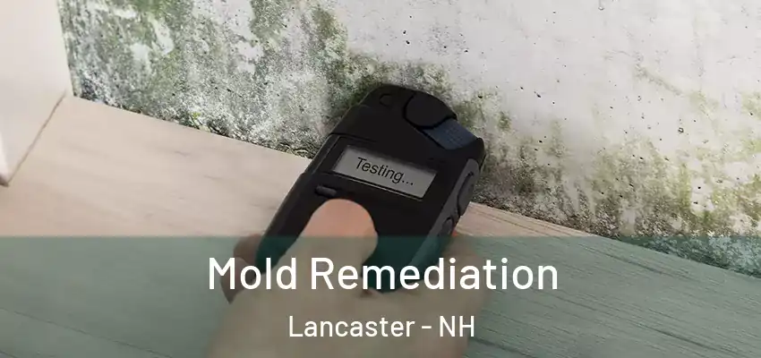  Mold Remediation Lancaster - NH