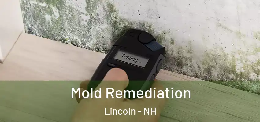  Mold Remediation Lincoln - NH