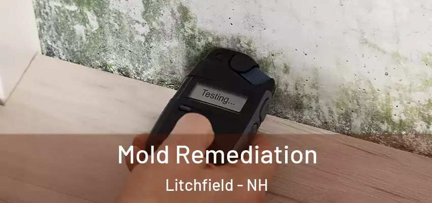  Mold Remediation Litchfield - NH