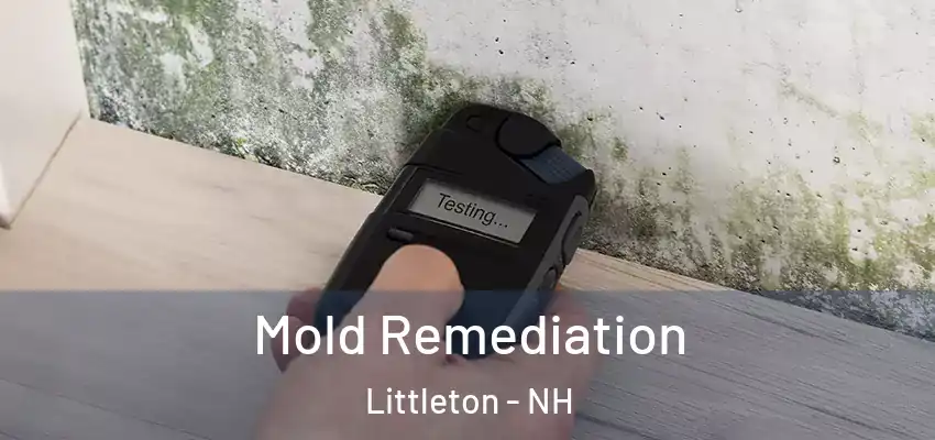  Mold Remediation Littleton - NH