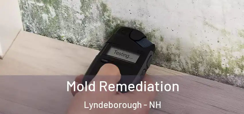 Mold Remediation Lyndeborough - NH