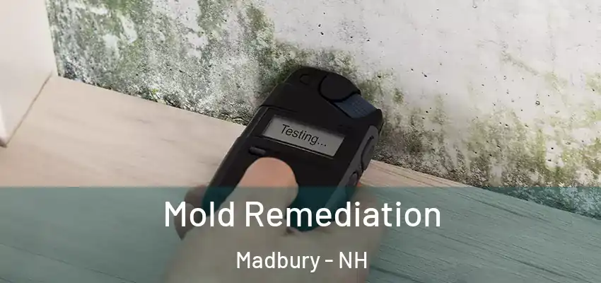  Mold Remediation Madbury - NH