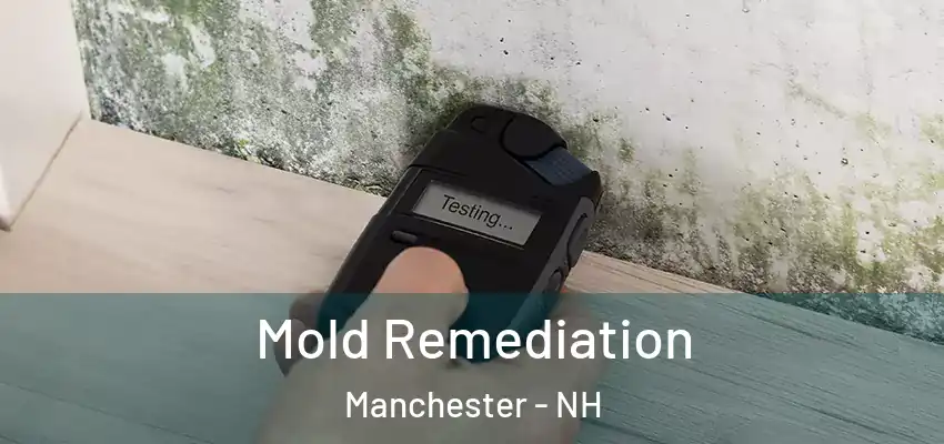  Mold Remediation Manchester - NH