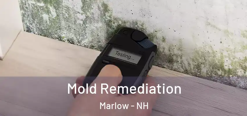 Mold Remediation Marlow - NH