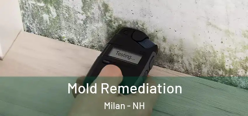  Mold Remediation Milan - NH