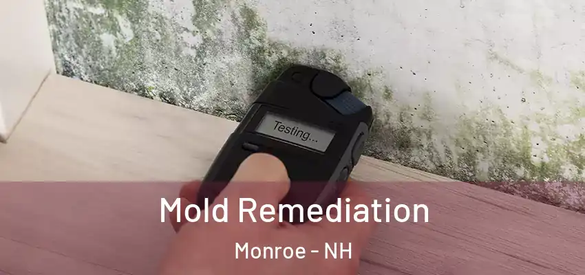 Mold Remediation Monroe - NH
