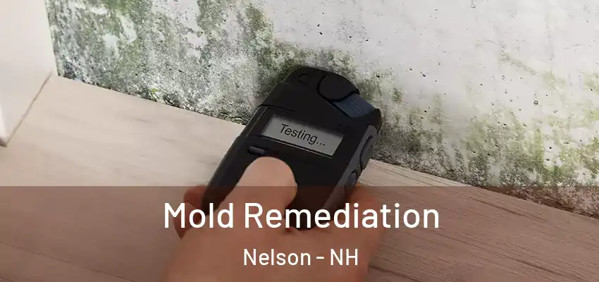 Mold Remediation Nelson - NH