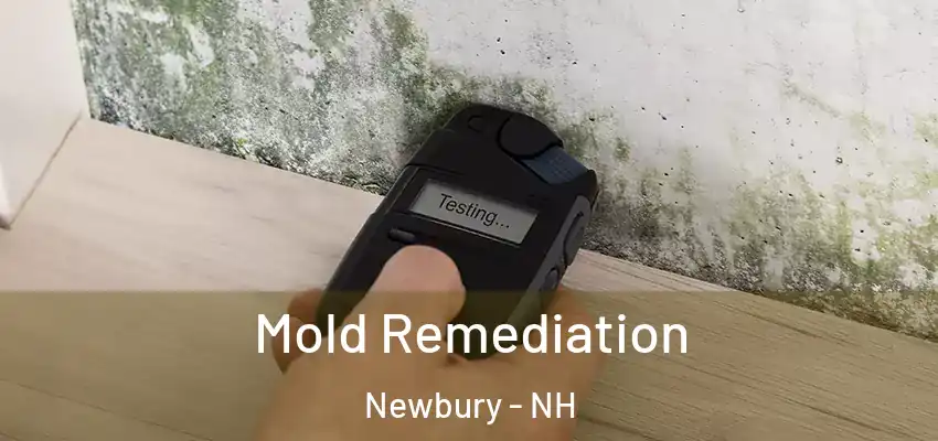  Mold Remediation Newbury - NH