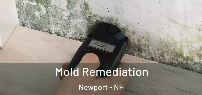  Mold Remediation Newport - NH