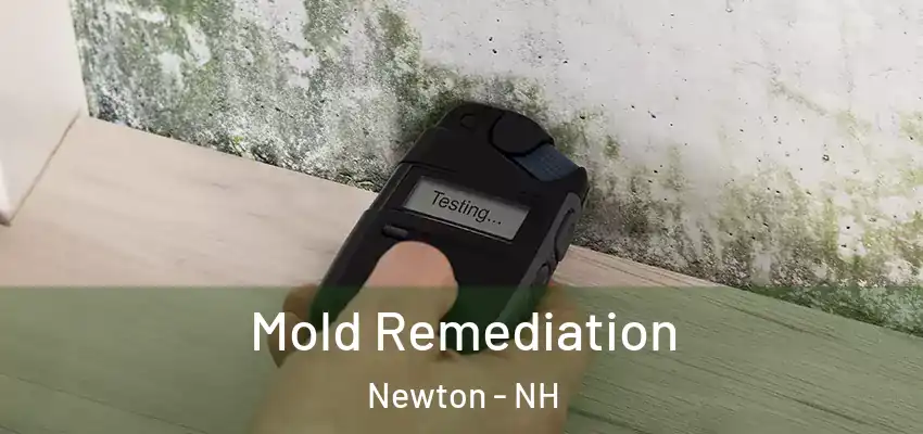  Mold Remediation Newton - NH