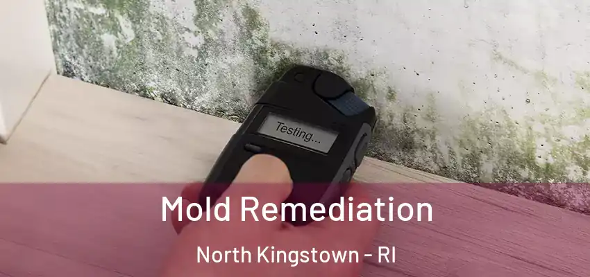  Mold Remediation North Kingstown - RI