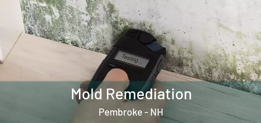  Mold Remediation Pembroke - NH