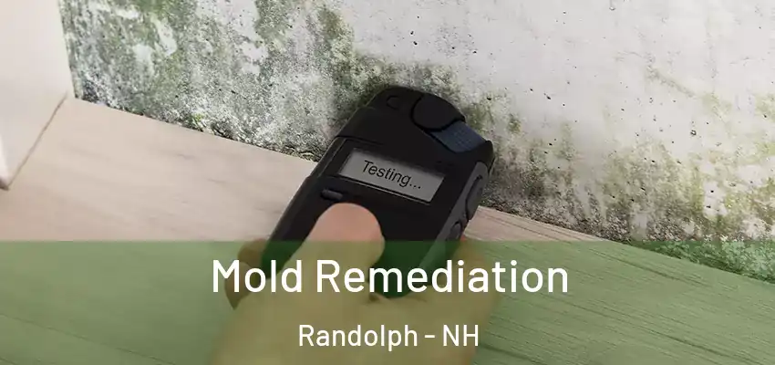  Mold Remediation Randolph - NH