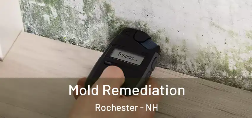  Mold Remediation Rochester - NH
