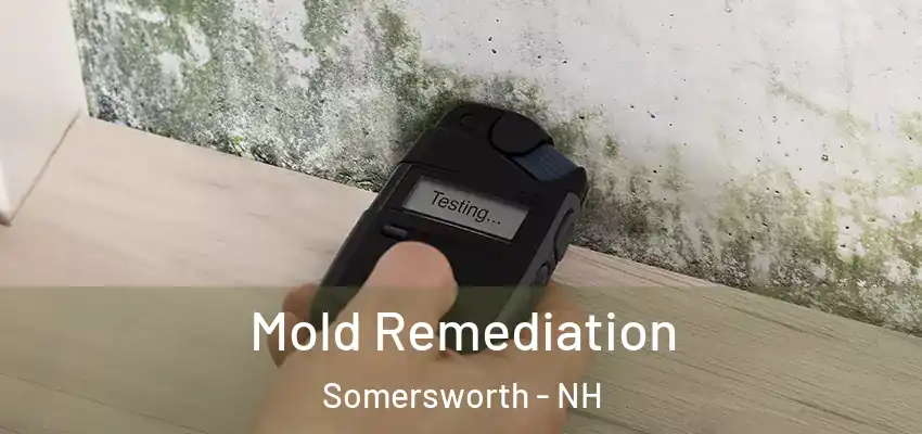  Mold Remediation Somersworth - NH
