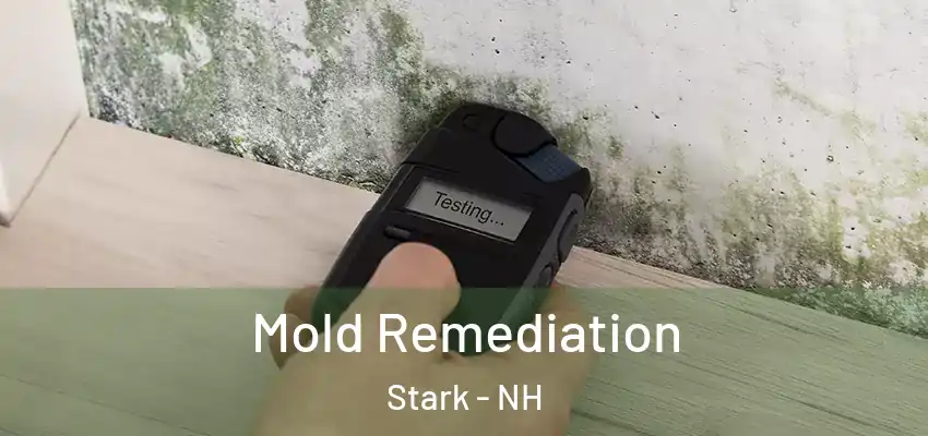  Mold Remediation Stark - NH