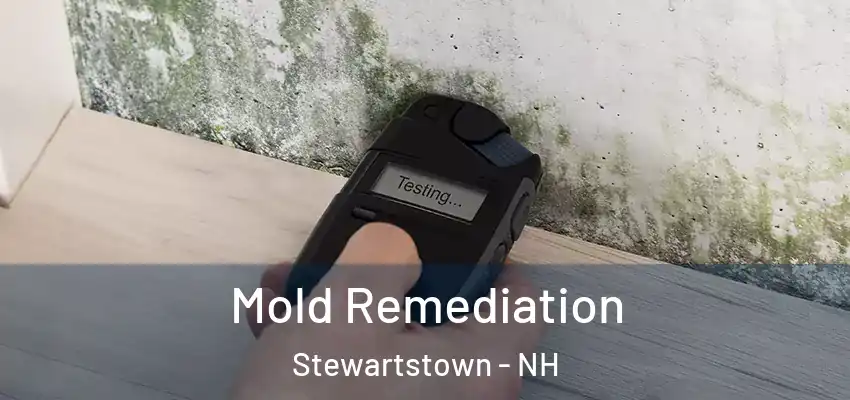  Mold Remediation Stewartstown - NH