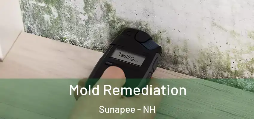  Mold Remediation Sunapee - NH