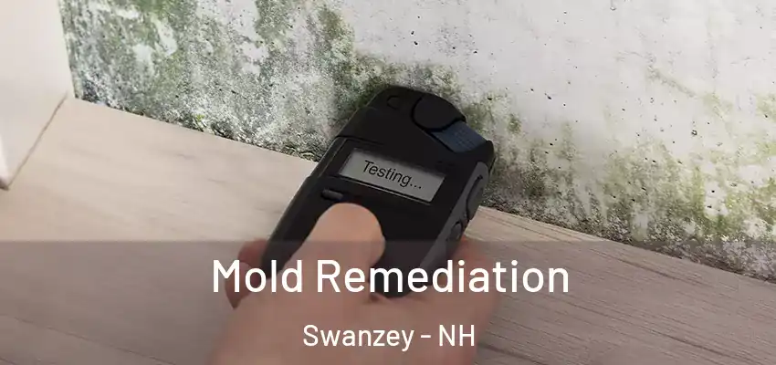  Mold Remediation Swanzey - NH