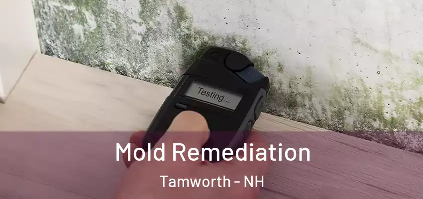  Mold Remediation Tamworth - NH