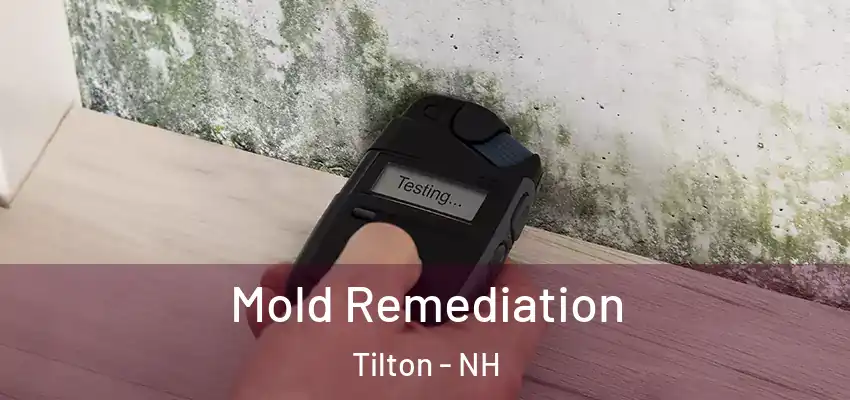  Mold Remediation Tilton - NH