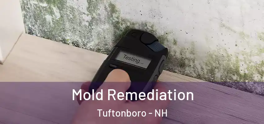 Mold Remediation Tuftonboro - NH