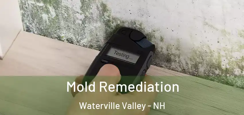  Mold Remediation Waterville Valley - NH