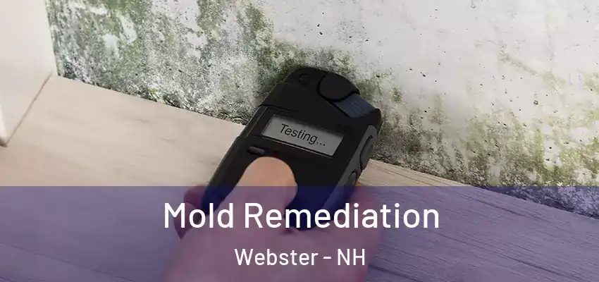 Mold Remediation Webster - NH