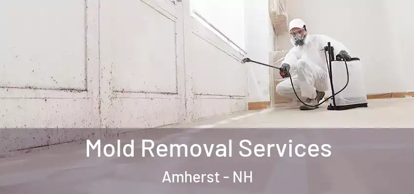  Mold Removal Services Amherst - NH
