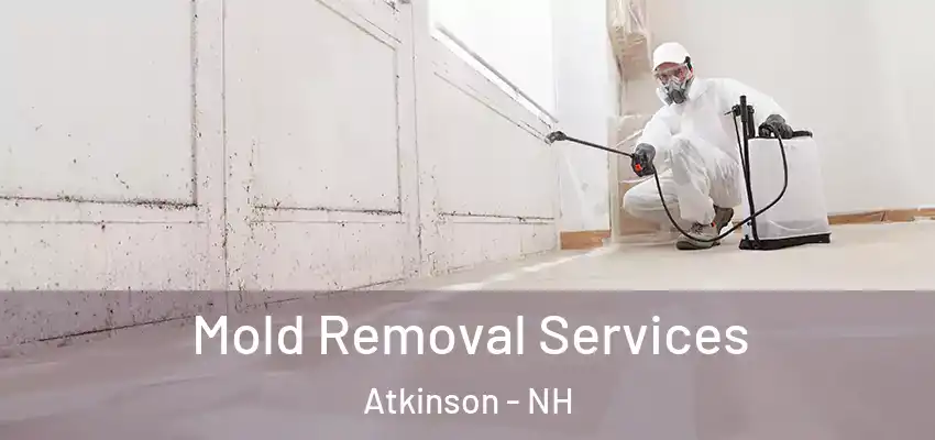  Mold Removal Services Atkinson - NH