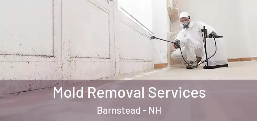  Mold Removal Services Barnstead - NH