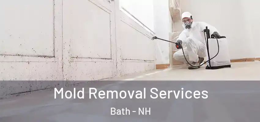  Mold Removal Services Bath - NH