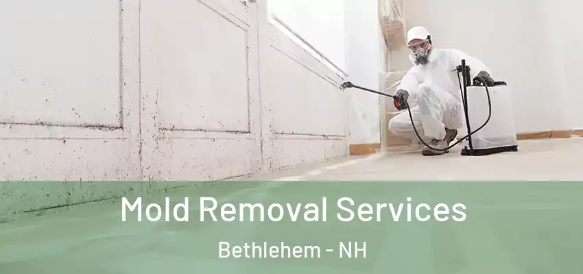  Mold Removal Services Bethlehem - NH