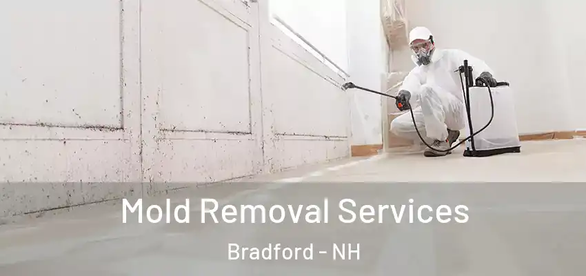  Mold Removal Services Bradford - NH