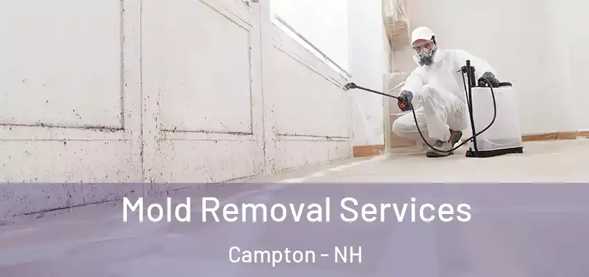  Mold Removal Services Campton - NH