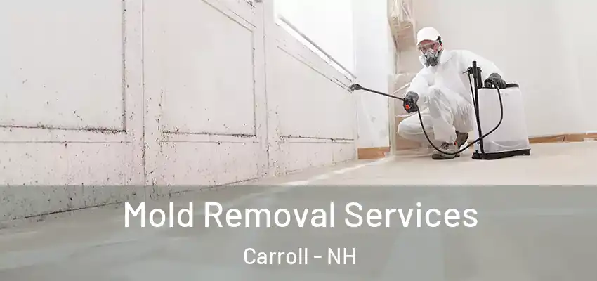  Mold Removal Services Carroll - NH