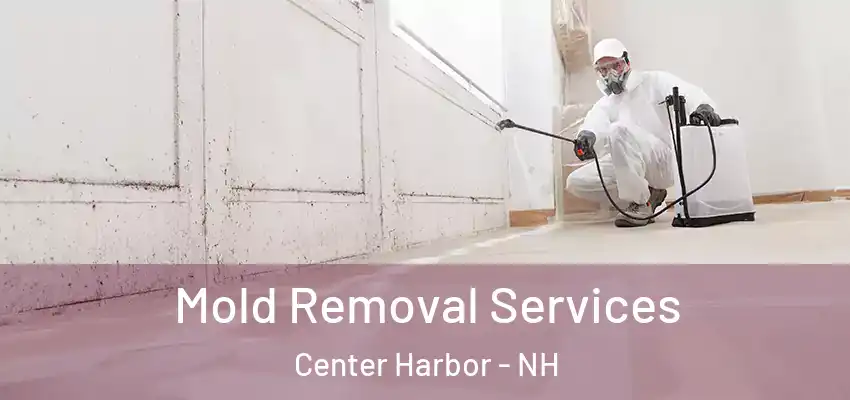  Mold Removal Services Center Harbor - NH