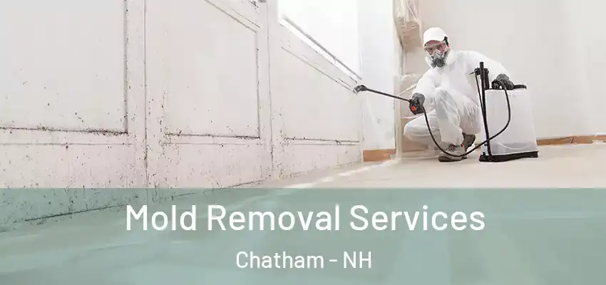  Mold Removal Services Chatham - NH