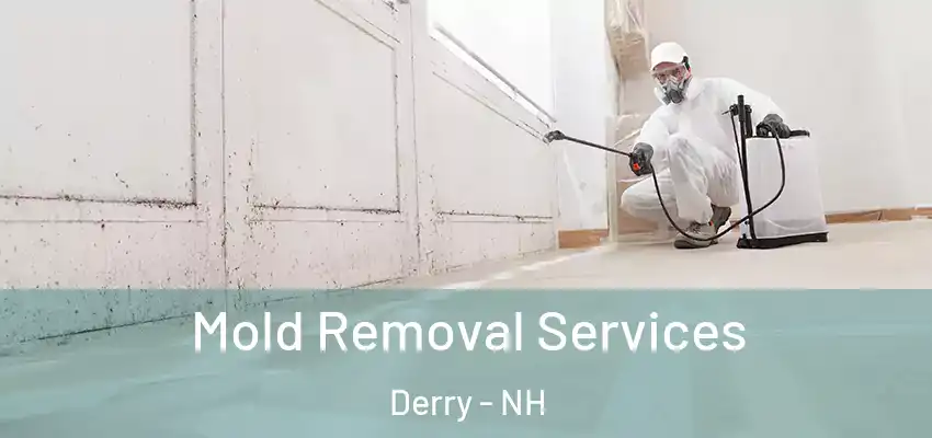  Mold Removal Services Derry - NH