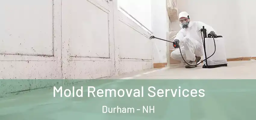  Mold Removal Services Durham - NH