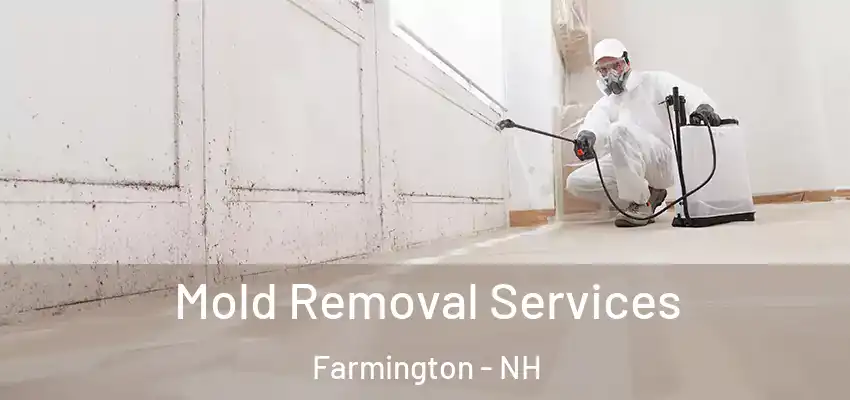  Mold Removal Services Farmington - NH