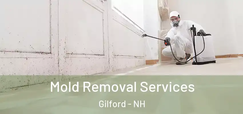  Mold Removal Services Gilford - NH