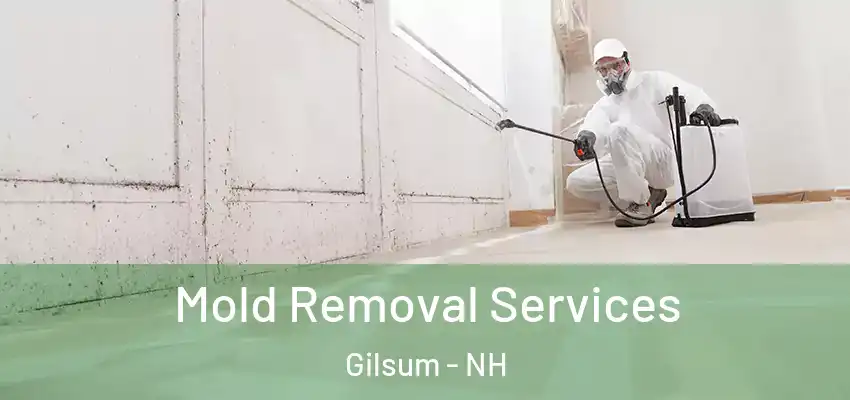  Mold Removal Services Gilsum - NH
