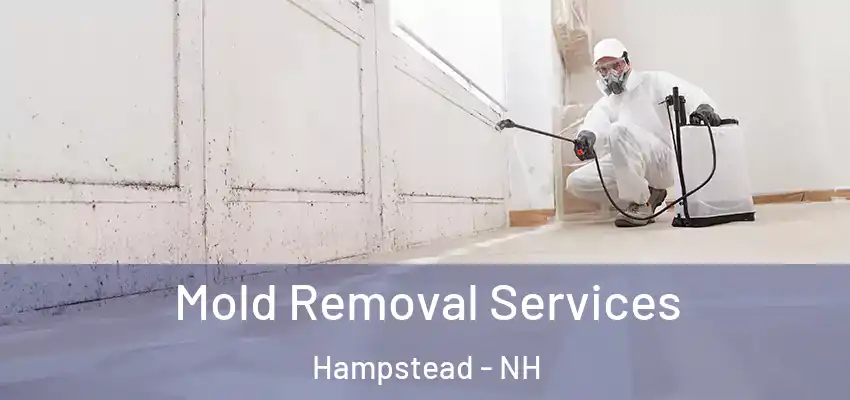  Mold Removal Services Hampstead - NH