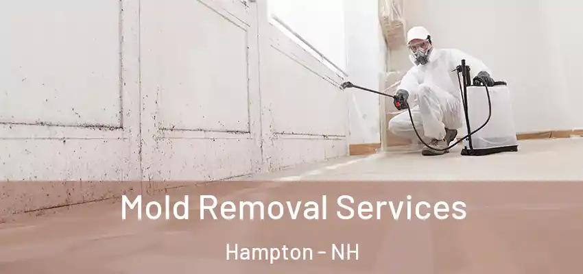  Mold Removal Services Hampton - NH