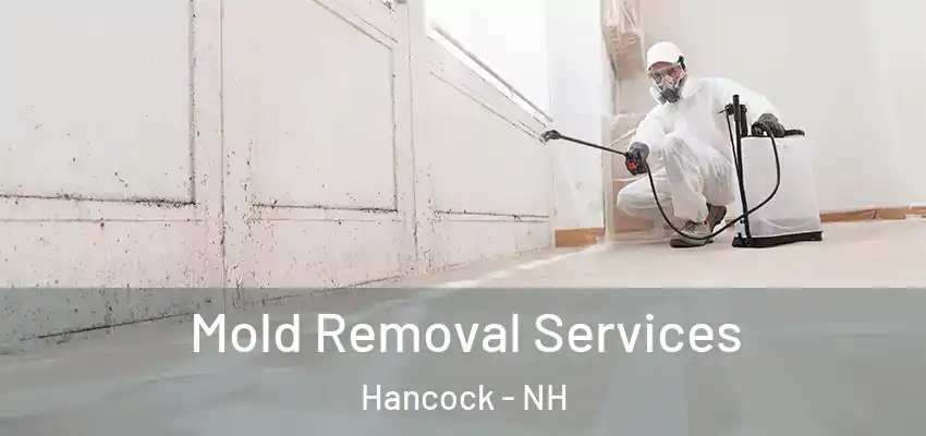  Mold Removal Services Hancock - NH