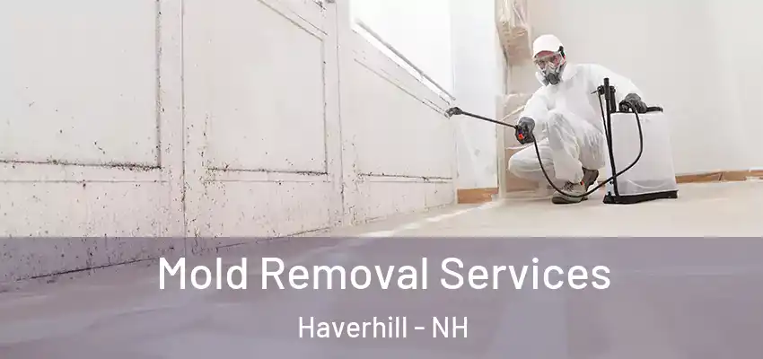  Mold Removal Services Haverhill - NH