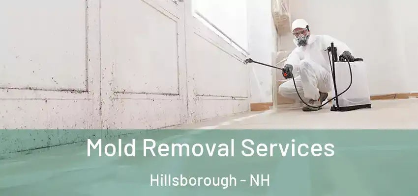  Mold Removal Services Hillsborough - NH